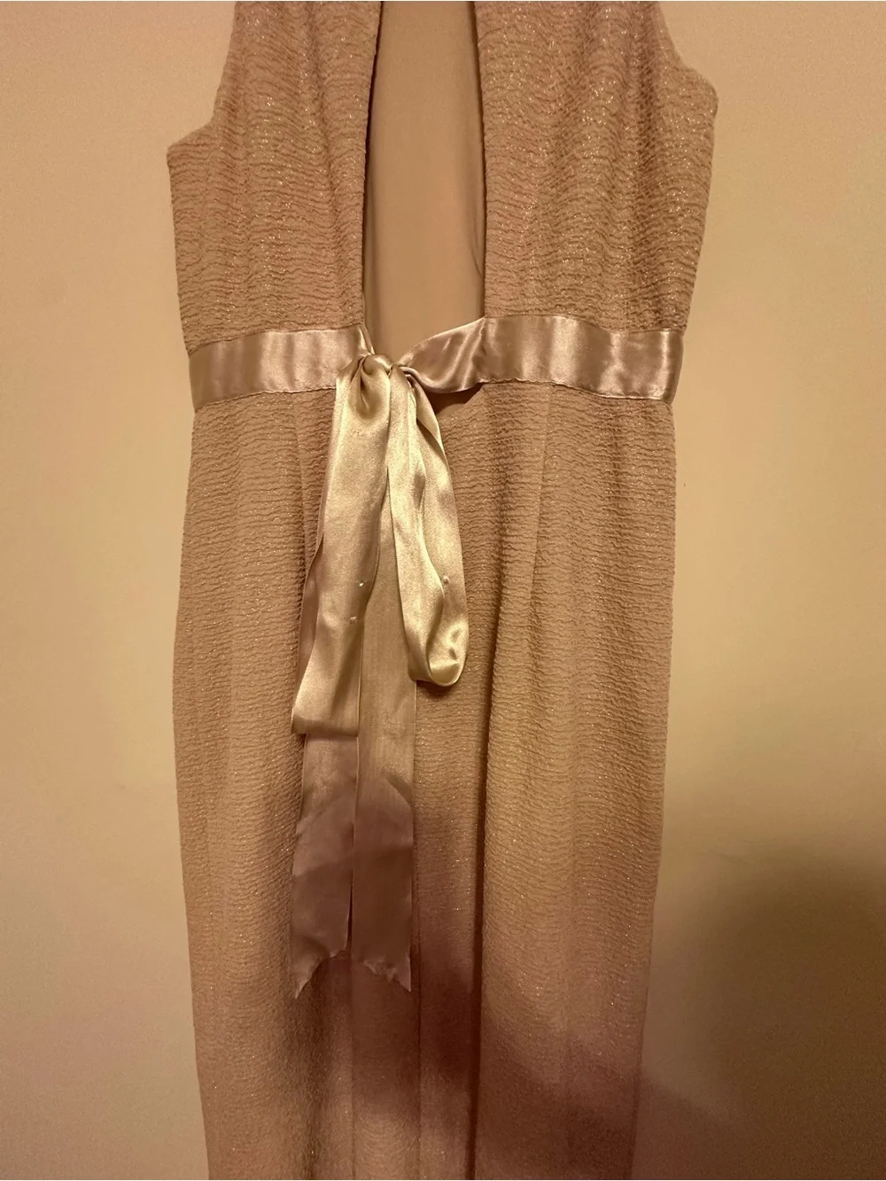 Adrianna Papell Champagne Metallic Maxi Dress Formal Evening Gown Size 6